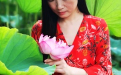 北京一夜晴交友qq群